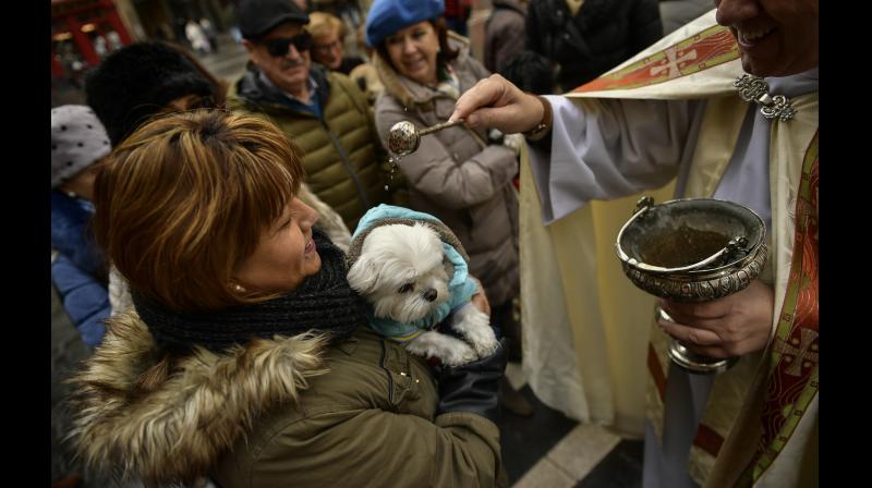 On the day of St. Anthony, owners enthusiastically bring their pets to the church from all over the country to receive blessings. (Photo: AP)