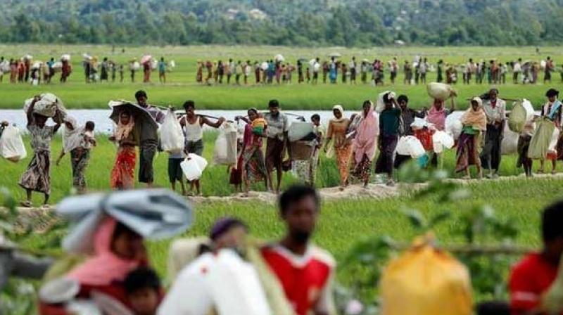 According to the media reports, many Rohingyas are stranded in India and Nepal after moving illegally from Bangladesh. (Photo: ANI)