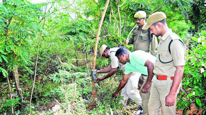 Forest officials fix motion capture cameras atop Kailasagiri Hill to trap the unidentified animal which is suspected to be moving around Kailasagiri on Saturday. (Photo: DC)