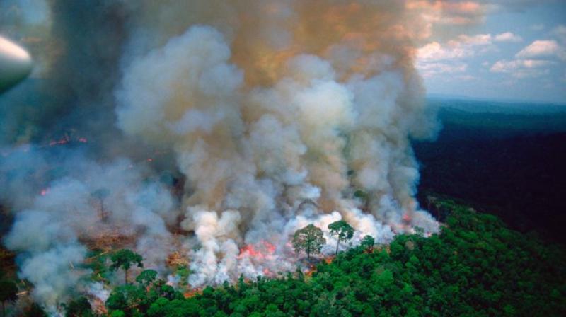 \International crisis\: French President on Amazon wildfires
