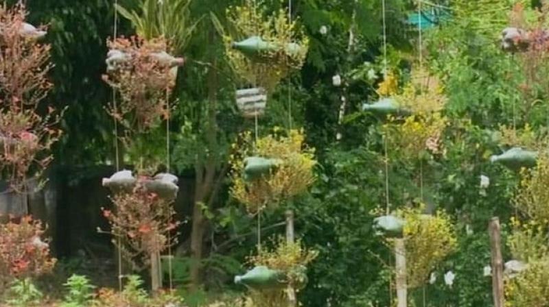 Bengal forest officer creates garden using plastic bottles, rubber tyres