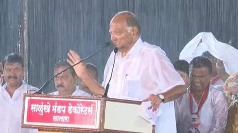 Made mistake in picking candidates: Pawar addresses rally in rain-hit Satara
