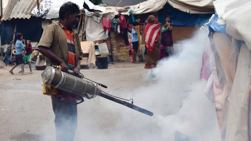 5,000 dengue cases reported in Bengaluru this year