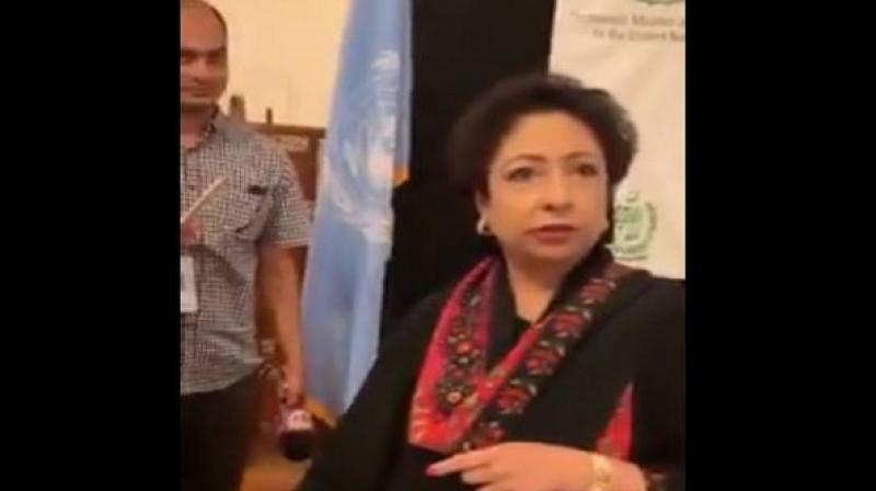 \You don\t deserve to represent us\: Pakistani accuses Maleeha Lodhi of corruption