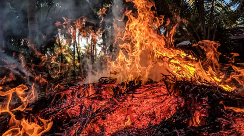Rising temperature to ignite more wildfires