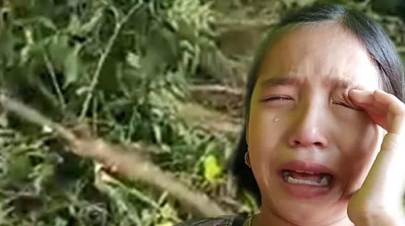 Manipur appoints 9-year-old girl, who wept on seeing trees chopped, green ambassador