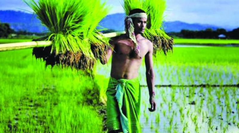 Nizamabad: Farmers to hold meet on poll strategy