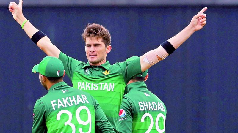 Shaheen Afridi relishes taking 6 wickets