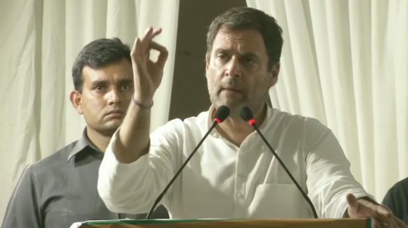 Not AAP, but only Congress can defeat Narendra Modi: Rahul Gandhi