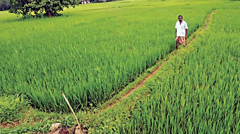 Budget 2019: Changing the game for rural India