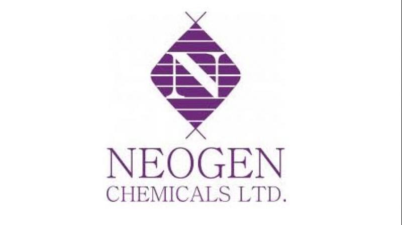 Neogen Chemicals rises 22 per cent on exchange debut