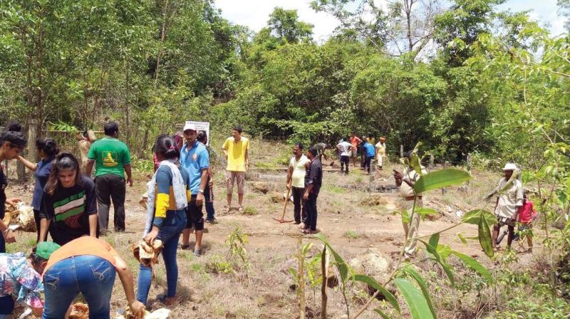 Fruit trees, first line of defence against man-animal conflict in the Western Ghats