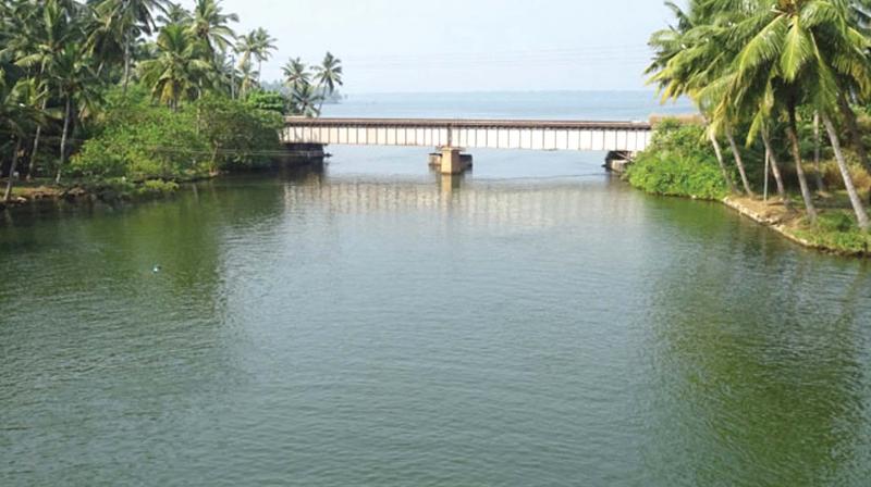 Luxury trips named See Ashtamudi have also been arranged by DTPC this school vacation season