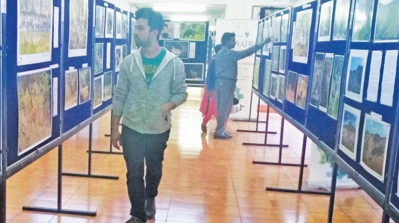 Photo expo attracts tourists in Nilgiris
