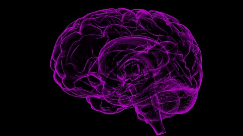 Researchers say brain stimulation could reduce violent crime.(Photo: Pixabay)