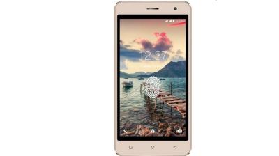 Intex launches Cloud Scan FP with dual-SIM support - Deccan Chronicle
