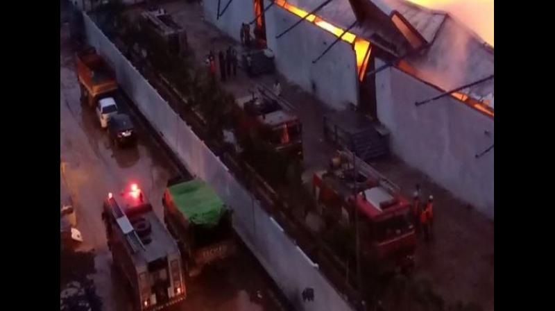 Fire engulfs godown of biscuit factory in Andhra Pradesh