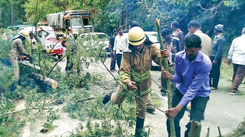 Avalanche in Ooty records 211 mm of rain in one day