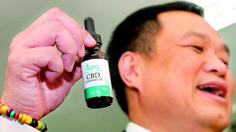 Thailandâ€™s minister gets medical cannabis oil