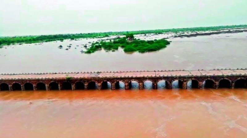 Nizamabad: Catchment areas get rain, Manjeera rises