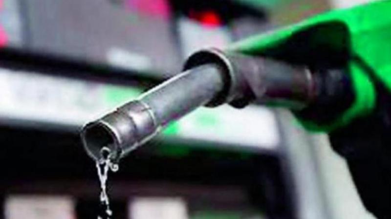 India\s petrol imports in July hit highest in at least eight years