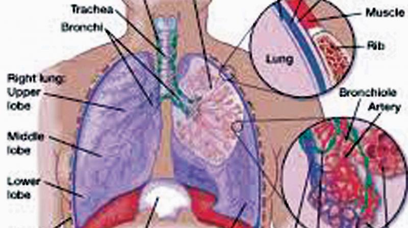 Coimbatore: Targeted therapy to treat patients