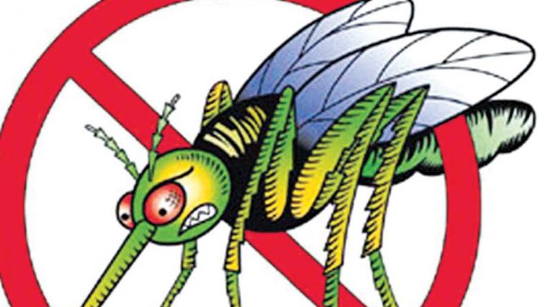Kochi cautioned against dengue