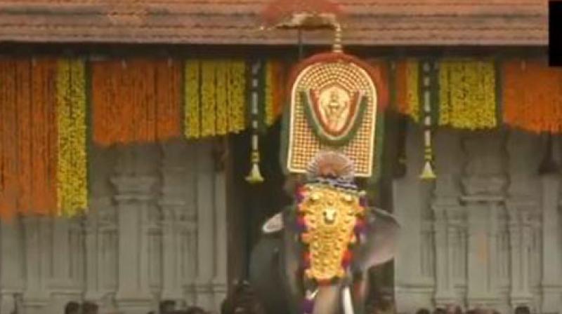 Thrissur: One-eyed celebrity elephant opens Thrissur Pooram festival
