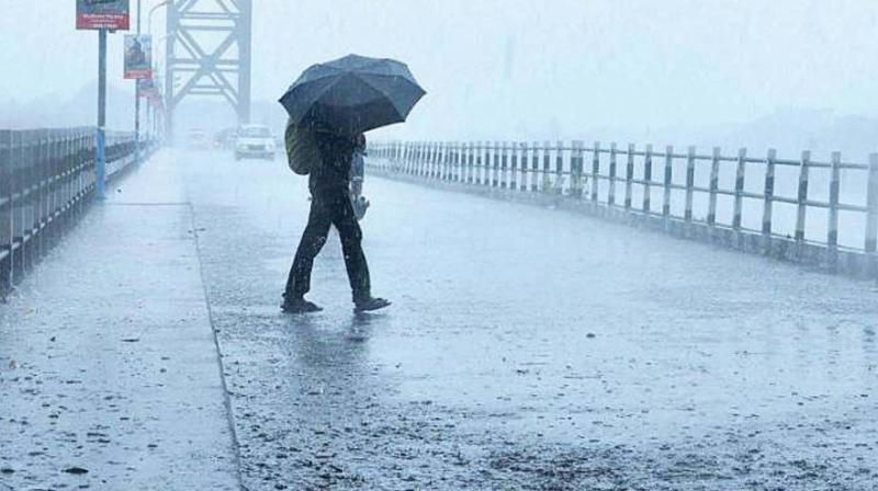 Monsoon rains cover half of India: Weather official