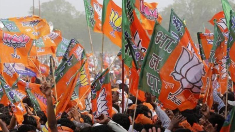 BJP score 7-0 in Delhi again, blow away Congress, AAP