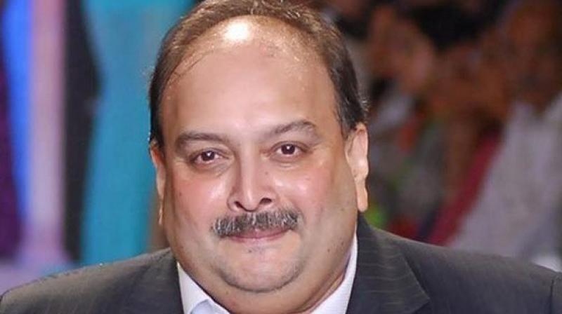 \Innocent until proven guilty\: Choksi\s lawyer after Antigua PM\s remark