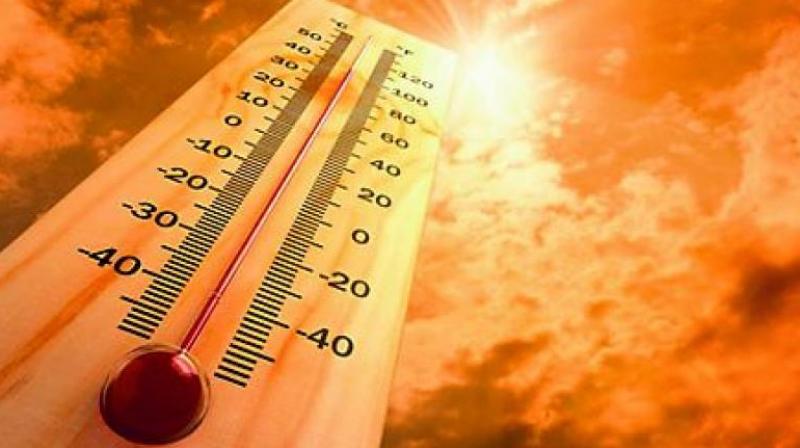 Europe sweats as record breaking temperature soars