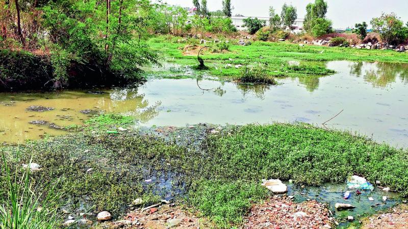 Hyderabad: Contamination in water bodies to go on for 3 years