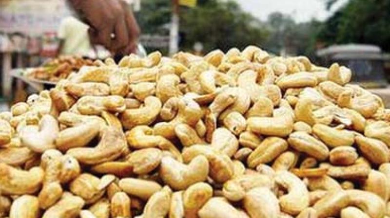 Kernel import cost hike may help cashew sector