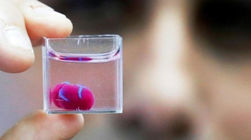 Medical breakthrough: First 3D print of heart with human tissues
