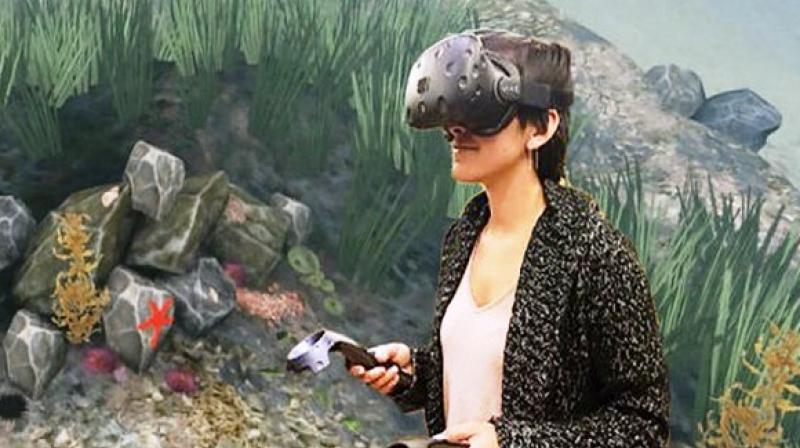 Creating environmental conservation awareness through VR
