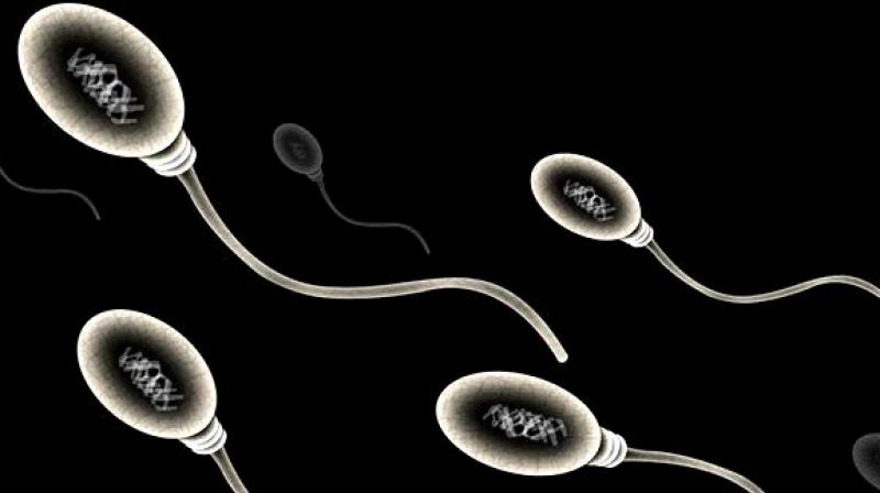 The stress of ageing can cause damage to sperm which can lead to a decrease in sperm count and a change in the sperm and egg that is passed from parent to offspring and becomes incorporated into the DNA of cells in the offsprings body. (Photo: ANI)