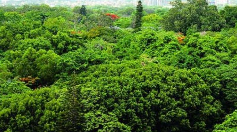 TRS MP Santosh Kumar gives Rs 3 crore for forests