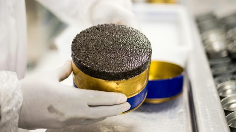 Madagascar grows Africaâ€™s first caviar