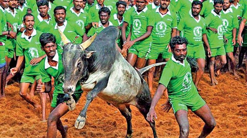 Jallikattu protests were started by students with no political leanings, Politicians tried to get mileage, but in vain.