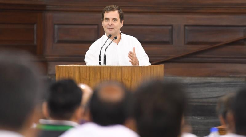 Cong will work like \pride of brave-hearted lions\: Rahul Gandhi