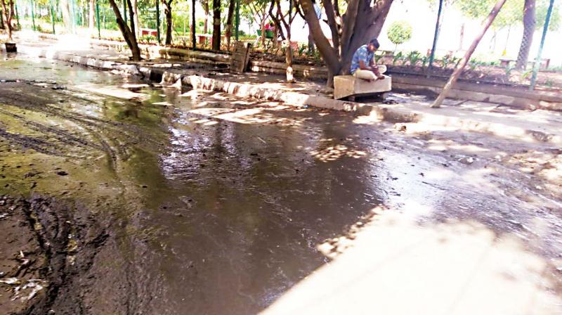 The ‘wade’ to efficiency: Bengaluru braces for rain The ‘wade’ to efficiency: Bengaluru braces for rain