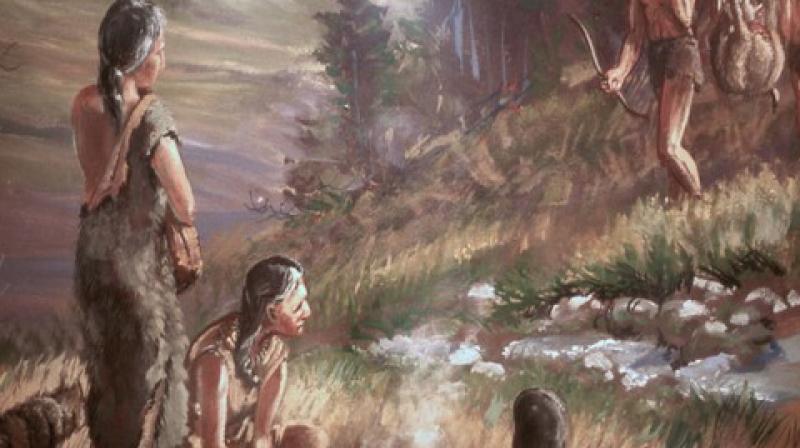 What did prehistoric humans consume?