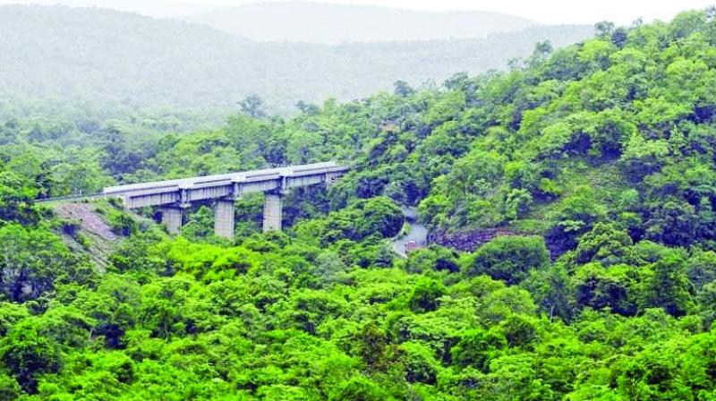 Protest begins against mining in Nallamala