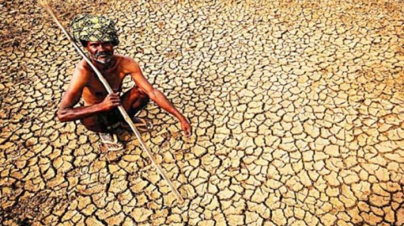 After three consecutive years of drought, the state has received fairly good rains so far except in 7-8 districts. (Photo: PTI/Representational)