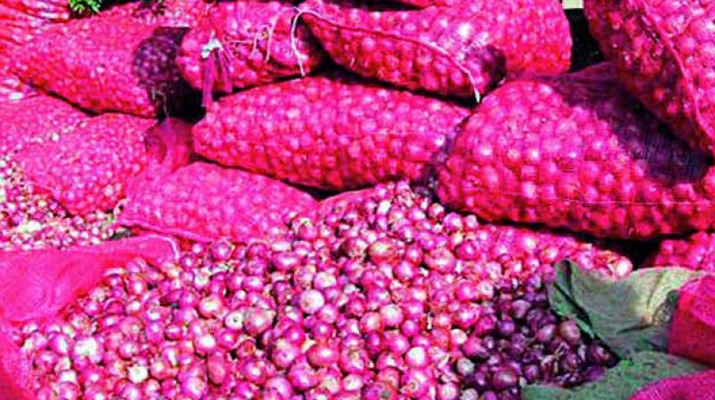 A senior official of Telangana Horticulture Department said onion is cultivated in about 20,000 hectares in the state with an expected yield of 20 tonnes per hectare.
