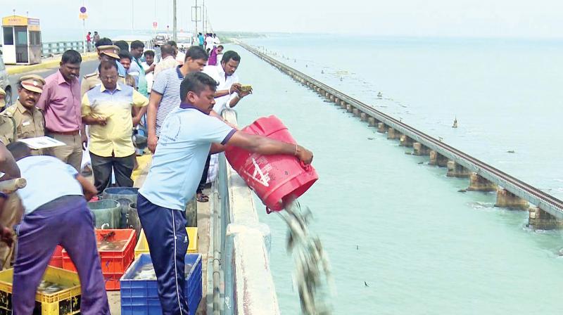 Sri Lanka Navy rescues 4 Tamil Nadu fishers, takes them for enquiry