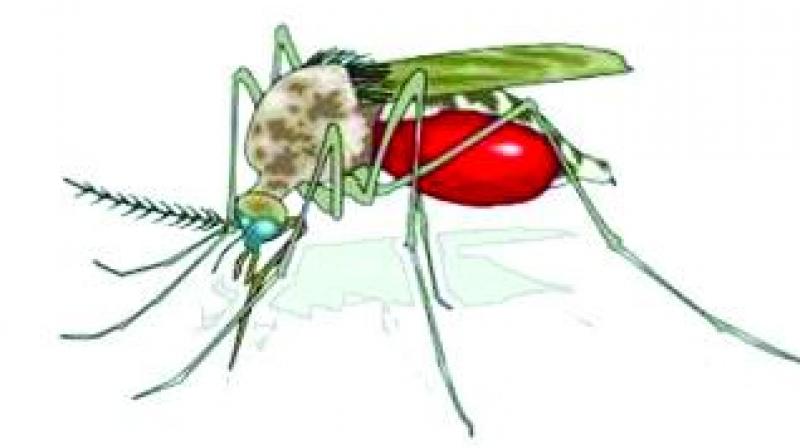 1st malaria vaccine launched in Malawi