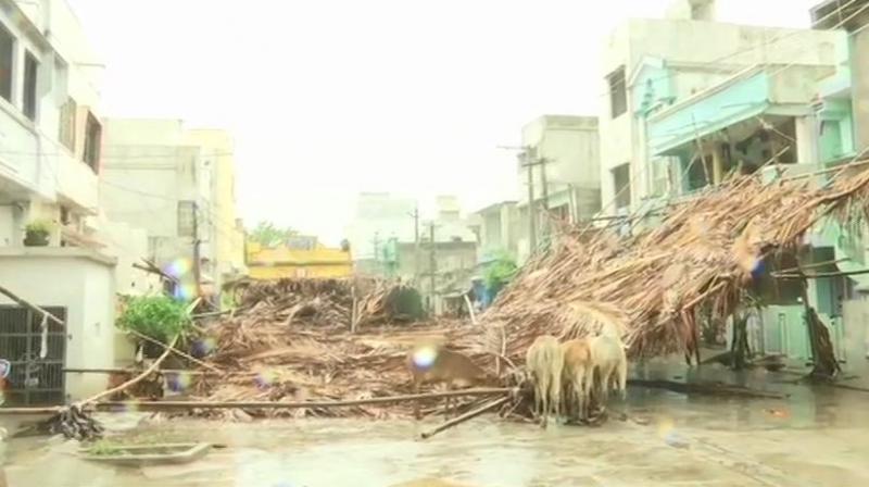 Cyclone \Fani\ leaves 12 dead in Odisha, relief work underway
