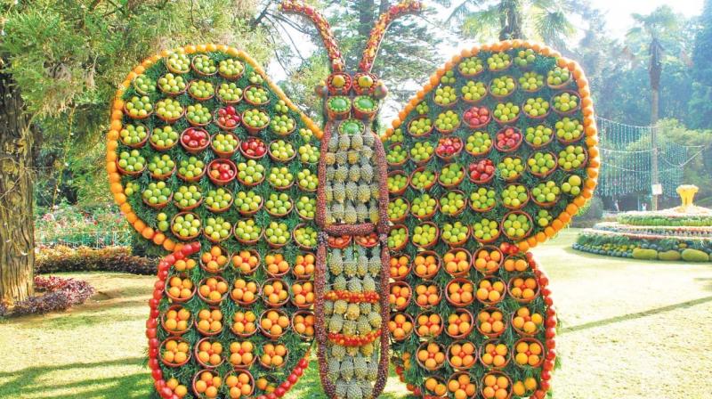 Two-day Fruit Show opens in Ooty